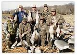 Tennessee Hunting License Requirements