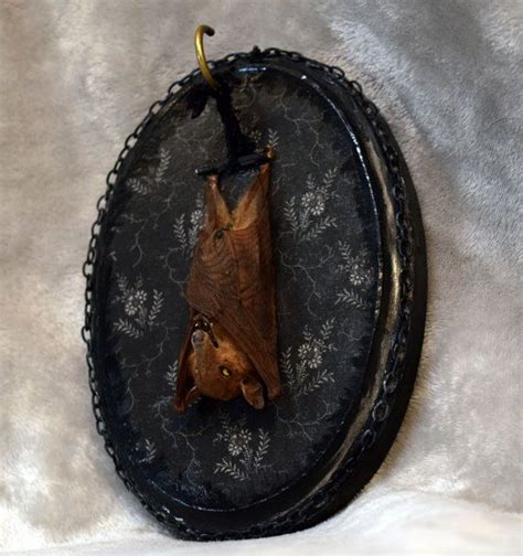 Taxidermy Fruit Bat Home Decor Wall Display Real Preserved Etsy