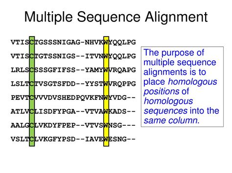Ppt Multiple Sequence Alignment Powerpoint Presentation Free