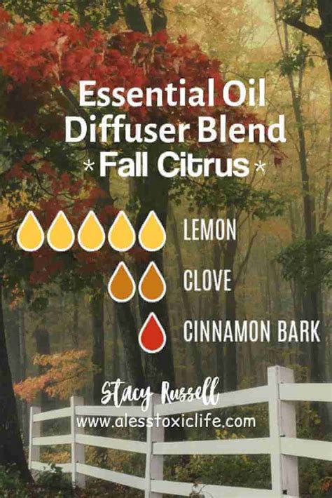 21 Best Fall Essential Oil Blends For 2021 Fall Essential Oils Fall Essential Oil Blends