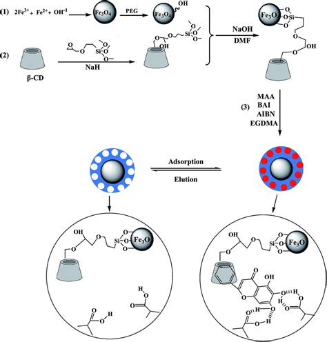 Preparation Of Magnetic Molecularly Imprinted Polymer Beads And Their