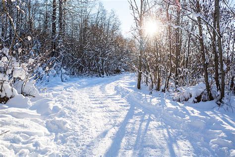 Best Sunny Winter Day Stock Photos Pictures And Royalty Free Images Istock