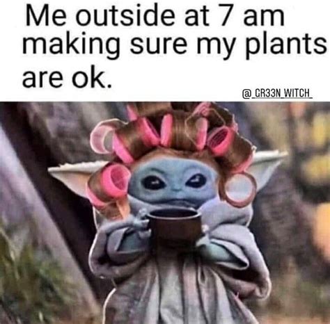 60 Plant Memes For You To Dig Through Plant Jokes