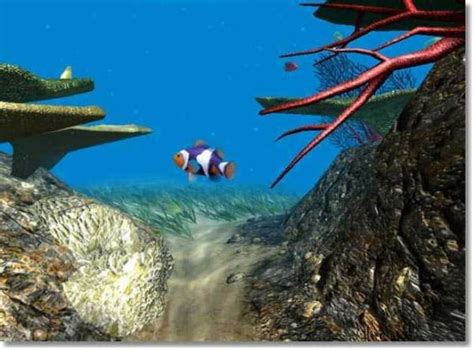 Marine Life 3d Screensaver Download