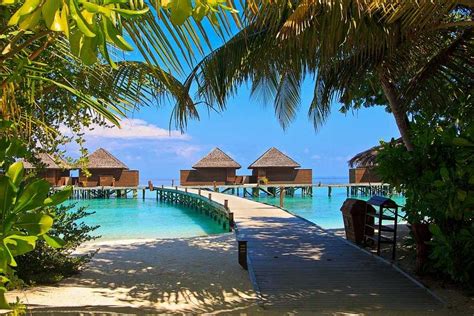 Milaidhoo Island Resort Maldives 2024 Images Timings Holidify