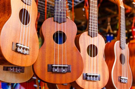 8 Best Ukulele Brands For Beginners And Pros In 2023 Instrumentio