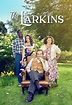 The Larkins (2021) - TheTVDB.com