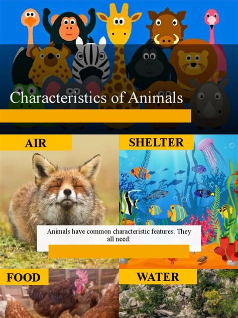 Characteristics Of Animals Pdf