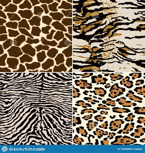 Zebra Giraffe Tiger And Leopard Skins Stock Vector Illustration Of