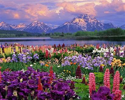 Spring Desktop Scenic Flowers Landscapes Mountains Garden
