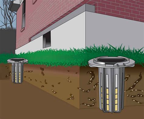 Baiting System A Major Diy Termite Control You Can Try At Home