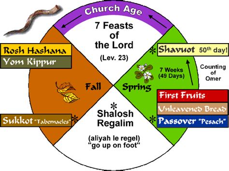 The Wheel Of Life With Seven Main Stages And Their Names In Different