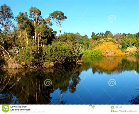 Royal Botanic Gardens Melbourne Stock Image Image Of Landscape Pond