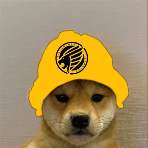 Dogwifhat Shiba Inu Dog With Hat Meme Apsgeyser