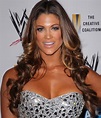 WWE Star Eve Torres Gracie Announces Her Son's Birth on Instagram ...