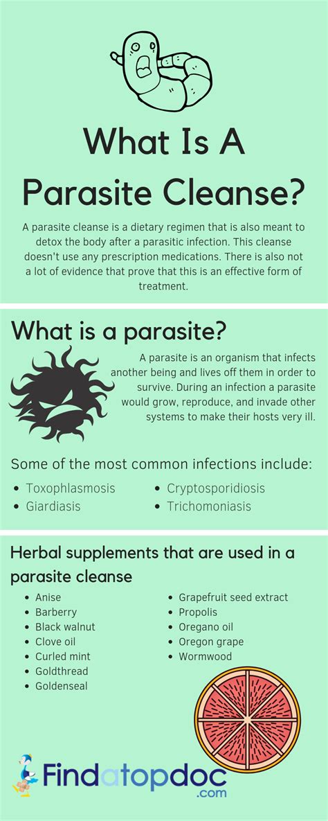 Parasite Cleanse Symptoms Diet And Home Remedies