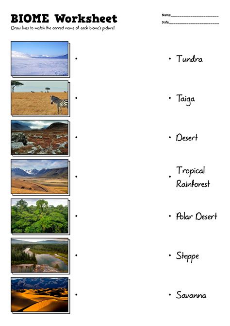 Best Images Of Biome Activity Worksheet Printable Biome Worksheets My