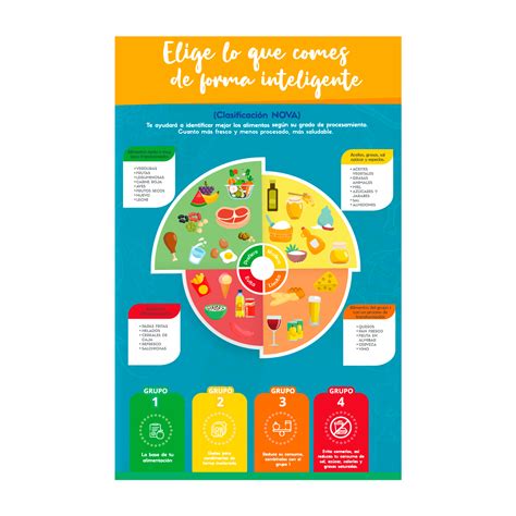 Download Mapa Conceptual Clasificacion De Los Alimentos Png Nietma