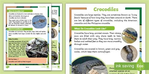 Ks1 Crocodiles Fact File Teacher Made