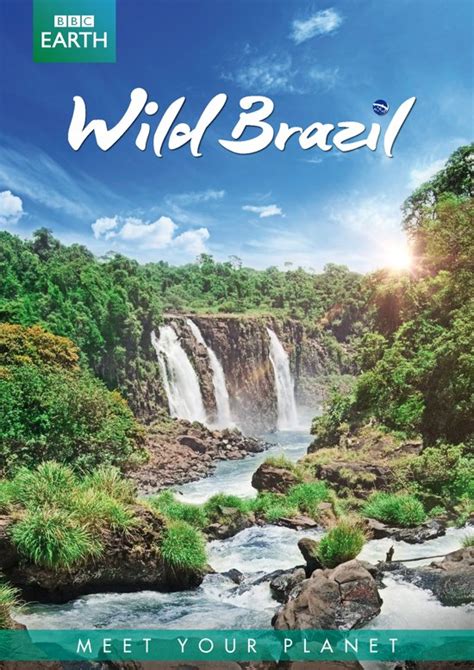 Bbc Earth Wild Brazil Dvd Dvds