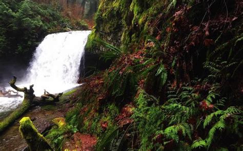 Waterfalls Of Vancouver Island Zenseekers