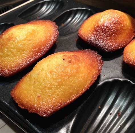 The Ultimate French Madeleine Cookie Recipe Madeleine Cookie Food