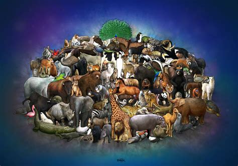 All Animals Wallpaper Wallpapersafari