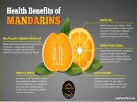 Mandarin Orange Nutritional Benefits Blog Dandk