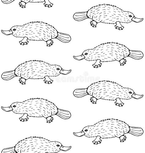 Platypus Or Duckbill Animals Of Australia Series Vector Art