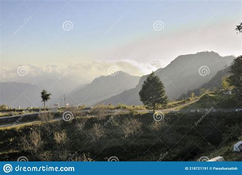Lonely Pine Tree In A Valley Stock Image Image Of Road Village