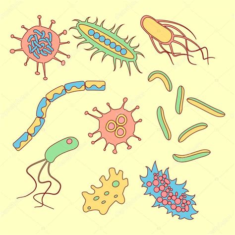 Diferentes Tipos De Bacterias 2022