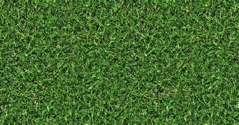 High Resolution Textures Grass 5 Seamless Turf Lawn Green Ground