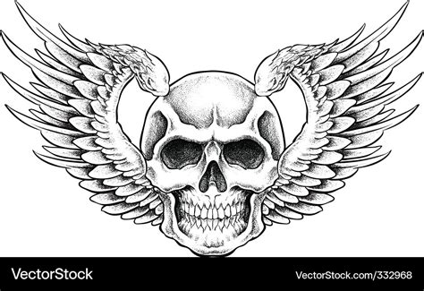 Skull With Wings Wallpapers Top Free Skull With Wings Backgrounds My