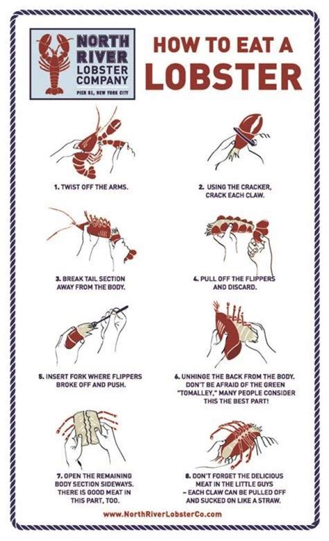 Infographic How To Eat A Lobster Lobster Recipes Lobster Seafood