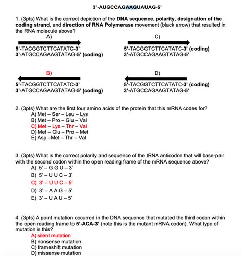 Solved Augccagaaguauag Pts What Is The Correct Chegg Com