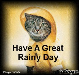 Share the best gifs now >>>. funny rainy day pics - Google Search (With images) | Rainy ...