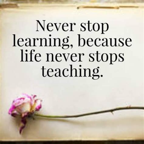 Stretch To Succeed Never Stop Learning Because Life Never Stops Teaching