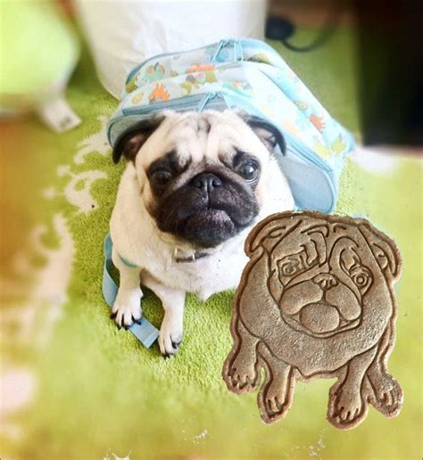 Pet Portrait Cookie Cutter Custom Dog Cookie Stamp Your Cat Etsy