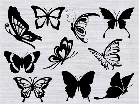 262 Butterfly Svg Images Free SVG PNG EPS DXF File - Best Free SVG