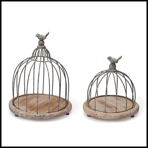 Find here online price details of companies selling decorative bird cage. Decorative Bird Cages & Bird Cage Planter Decor