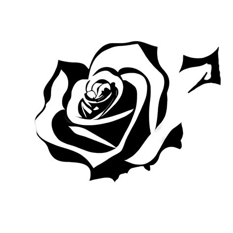 Rose Black And White Graphic · Creative Fabrica