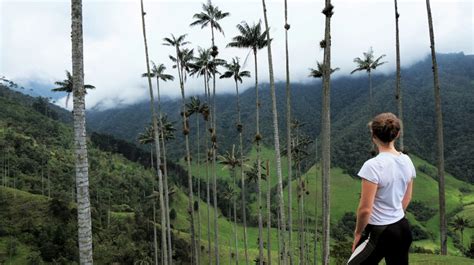 Our Guide To Salento And Hiking Cocora Valley Charlie On Travel