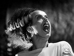 Bride of Frankenstein | Wiki | Monster Facts Amino