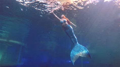 French Real Life Mermaid Mermaid Performer Professional