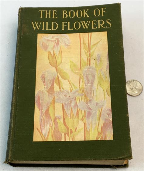 Lot 1934 Wild Flowers Worth Knowing By Neltje Blanchan Illustrated