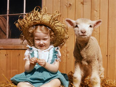 The movie can barely be said it is based on the nfl even with roger goodell's extended cameo. The True Story Behind 'Mary Had a Little Lamb'