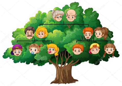 Un árbol puede ser una planta, pero también puede referirse un árbol de la vida o genealógico. Árbol familiar Imagen Vectorial de © interactimages ...