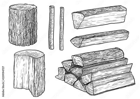 Cut Logs Fire Wood Chopped Wood Illustration Drawing Engraving Ink