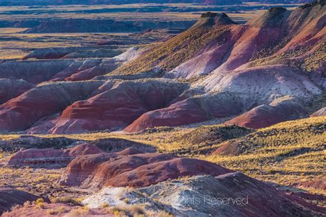 Colorful Painted Desert In Petrified Forest National Park With Images