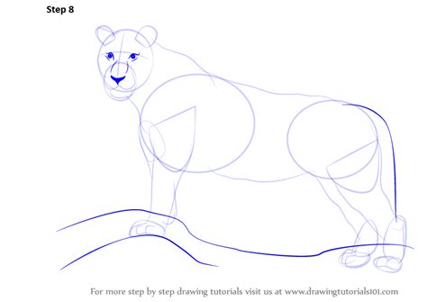 These are perfect for drawing with kids, or designing your own greeting cards. Learn How to Draw a Tiger (Zoo Animals) Step by Step : Drawing Tutorials